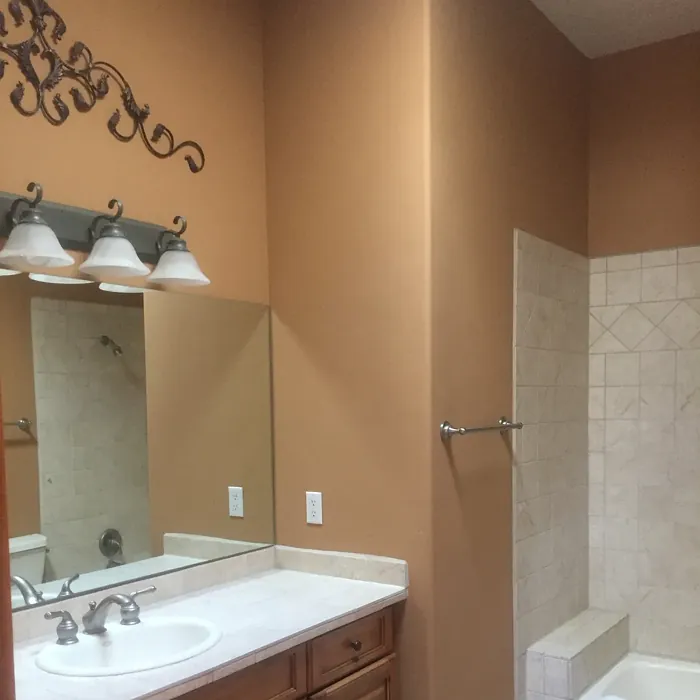 SW Tatami Tan bathroom color paint