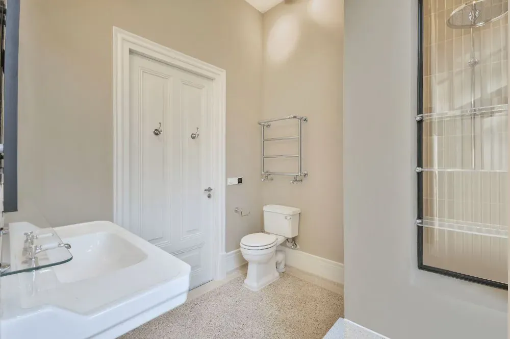 Sherwin Williams Taupe of the Morning bathroom