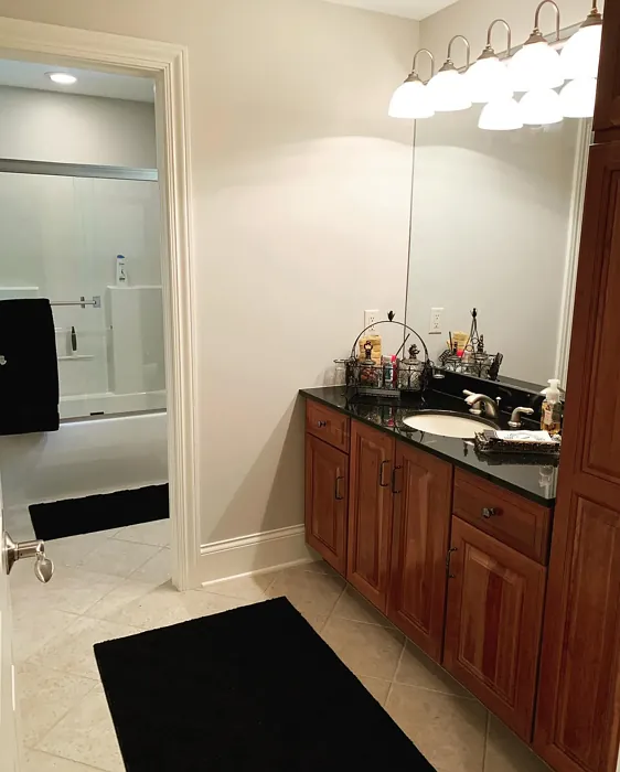 Sherwin Williams SW 9590 bathroom color review
