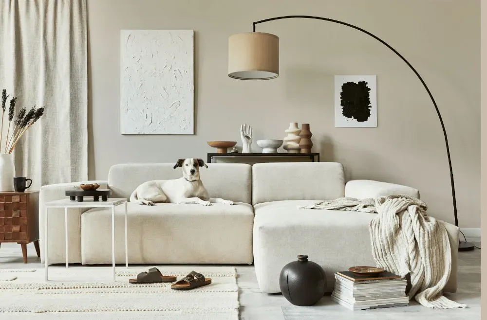 Sherwin Williams Taupe of the Morning cozy living room