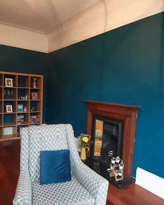 10BG 11/221 living room paint review