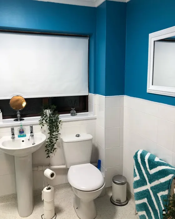 Dulux Blue Diamond 4 bathroom color review