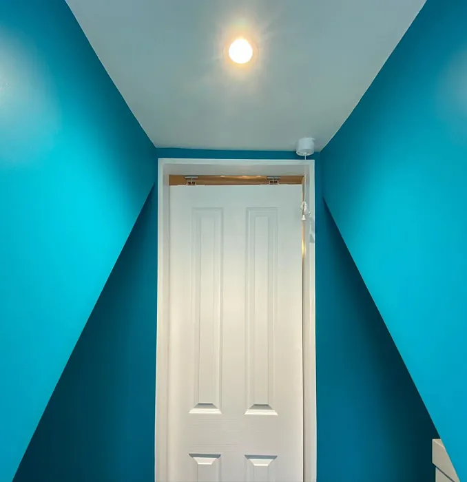 Dulux Teal Touch wall paint review