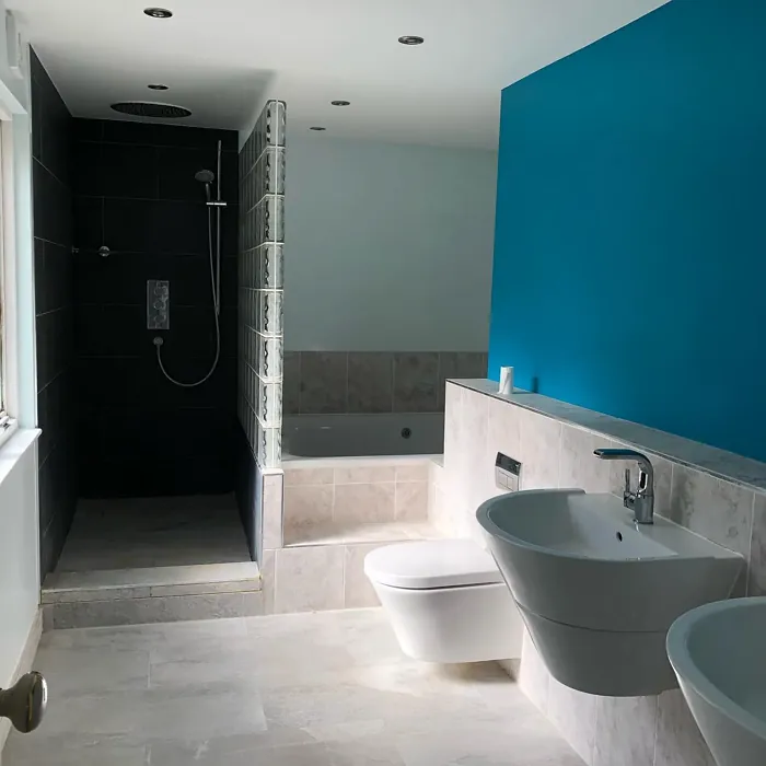 16BG 24/357 bathroom accent wall