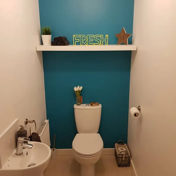 Dulux Teal Touch bathroom review