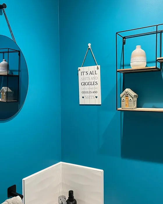 Teal Touch bathroom paint