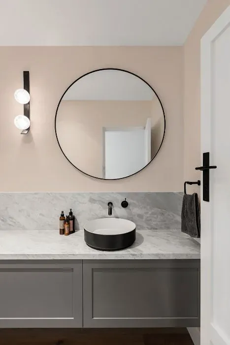 Sherwin Williams Teasing Peach minimalist bathroom