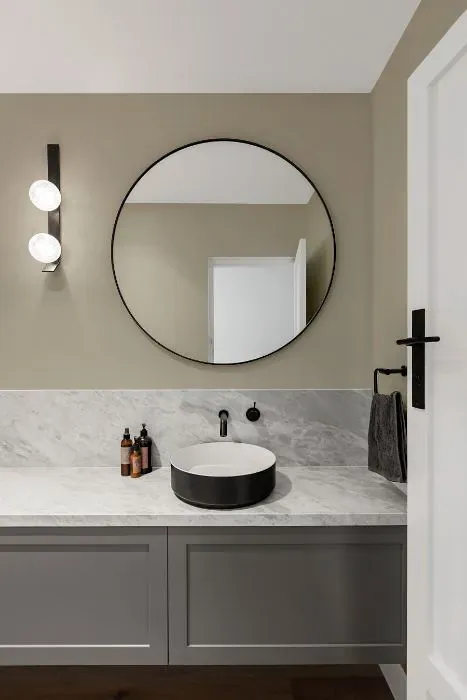 Sherwin Williams Techno Gray minimalist bathroom