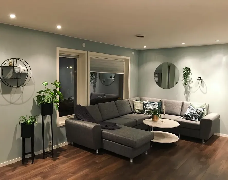 Jotun Tender Green living room paint review
