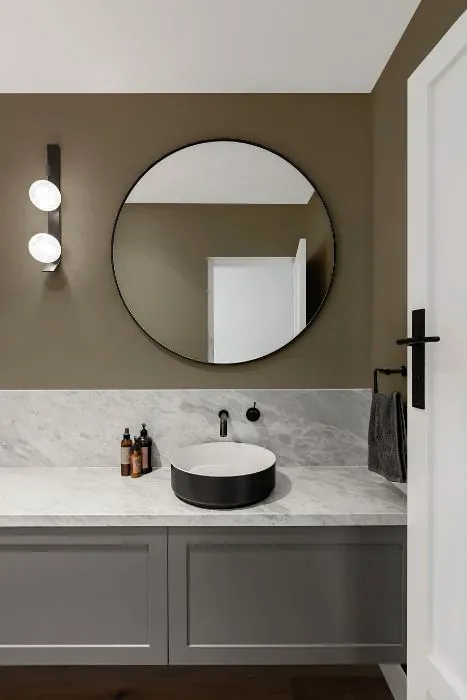 Sherwin Williams Terrain minimalist bathroom