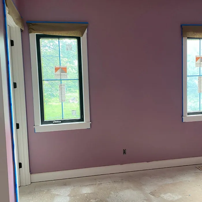 Sherwin Williams Thistle Living Room