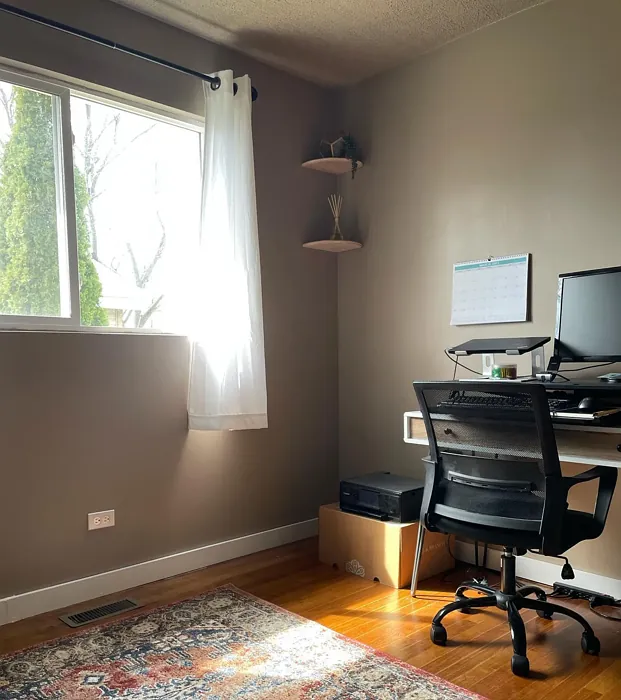 SW Threshold Taupe home office paint review