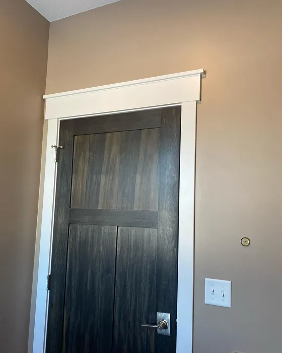 SW Threshold Taupe bathroom color