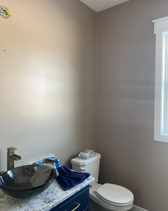 SW Threshold Taupe bathroom review