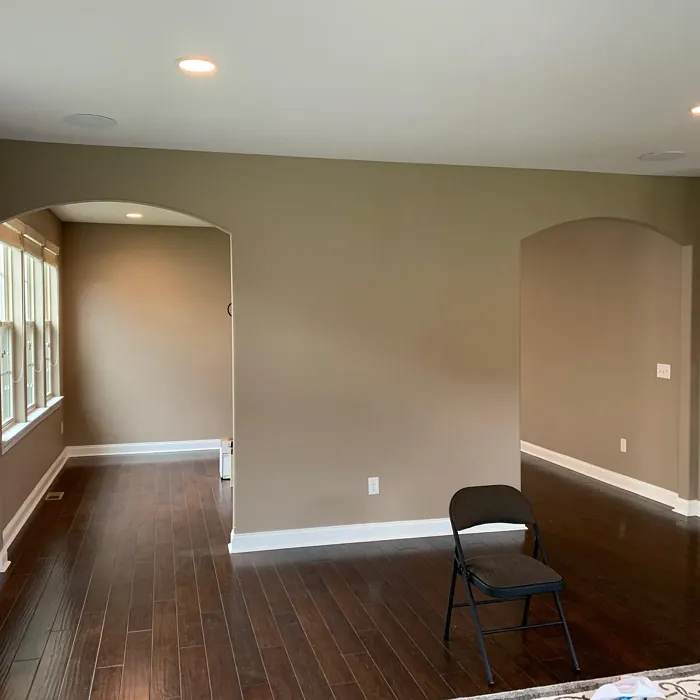 SW Threshold Taupe living room paint