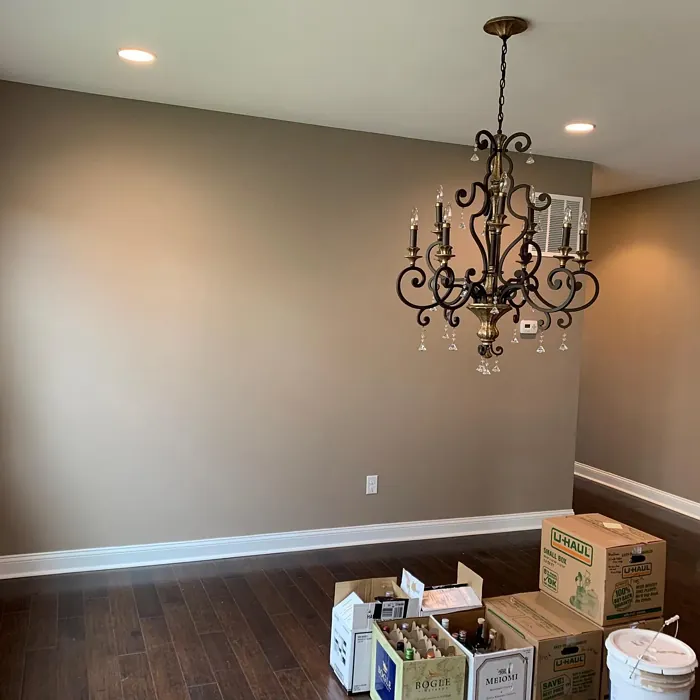 SW 7501 living room paint