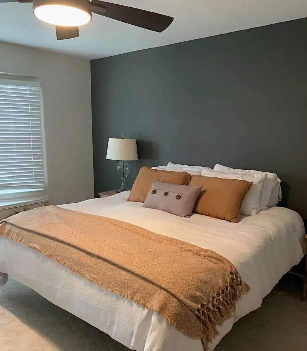 Sherwin Williams Thunder Gray Bedroom Accent Wall