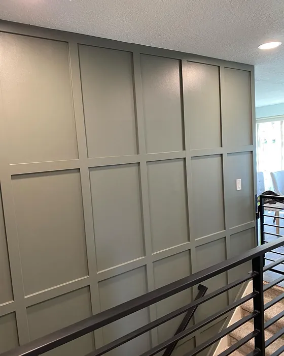 Sherwin Williams Thunderous wall panelling 