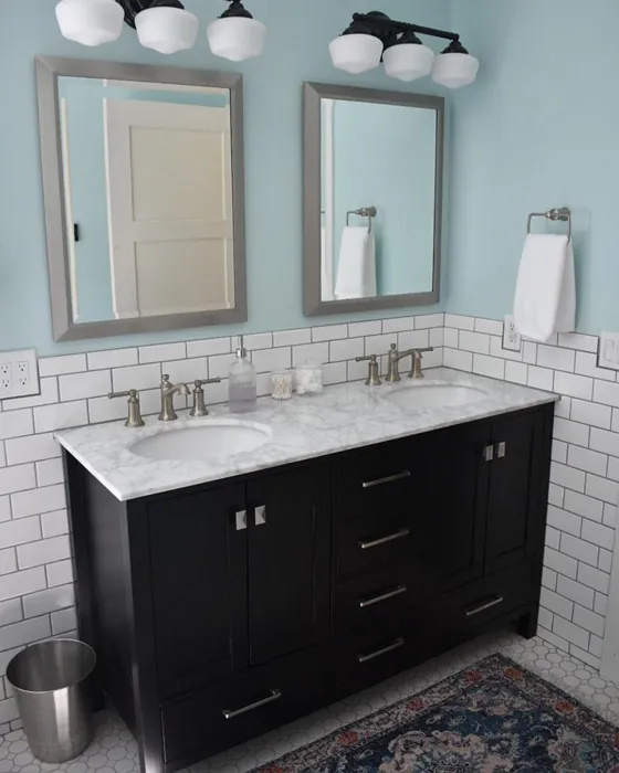 Sherwin Williams Tidewater Bathroom