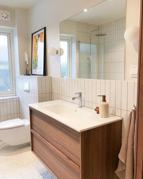 Jotun Tidlös bathroom color