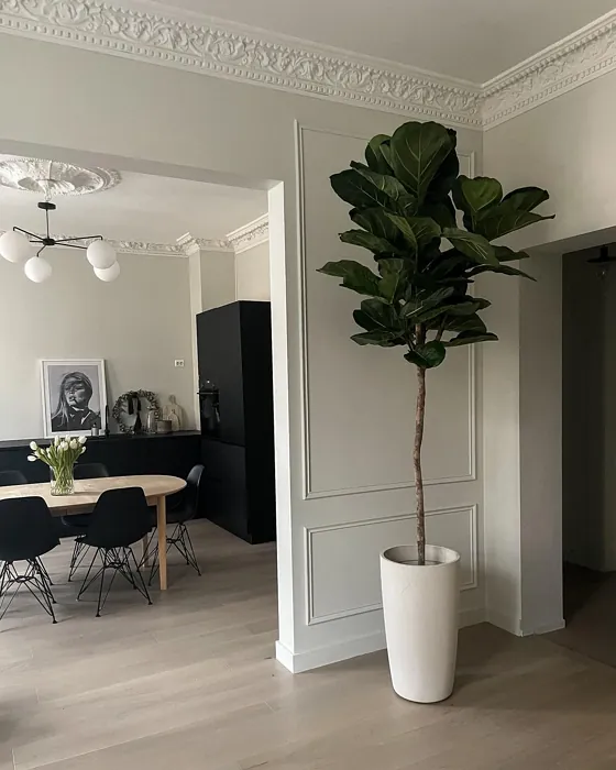 Jotun Tidlös wall paint color review