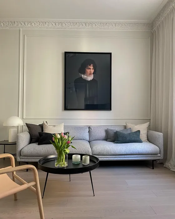 Jotun Tidlös living room color review