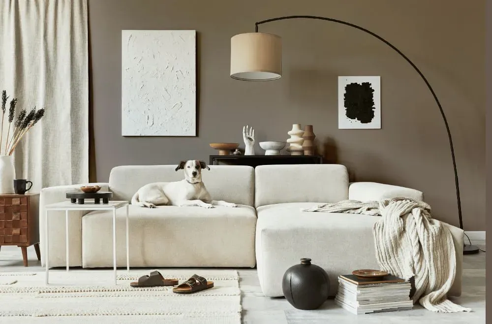 Sherwin Williams Timeless Taupe cozy living room