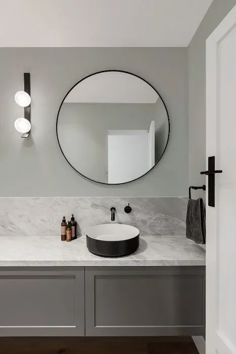 Sherwin Williams Tinsmith minimalist bathroom