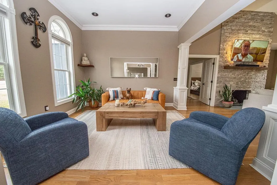 Sw Tony Taupe Living Room
