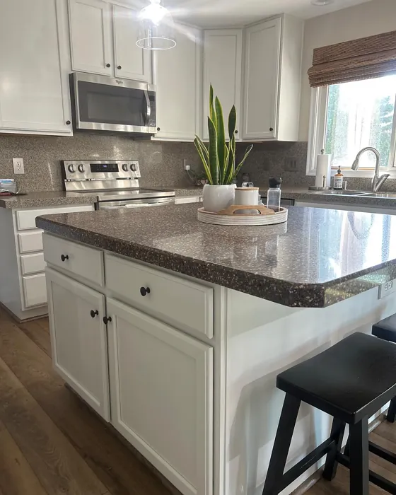 SW Toque White kitchen cabinets 