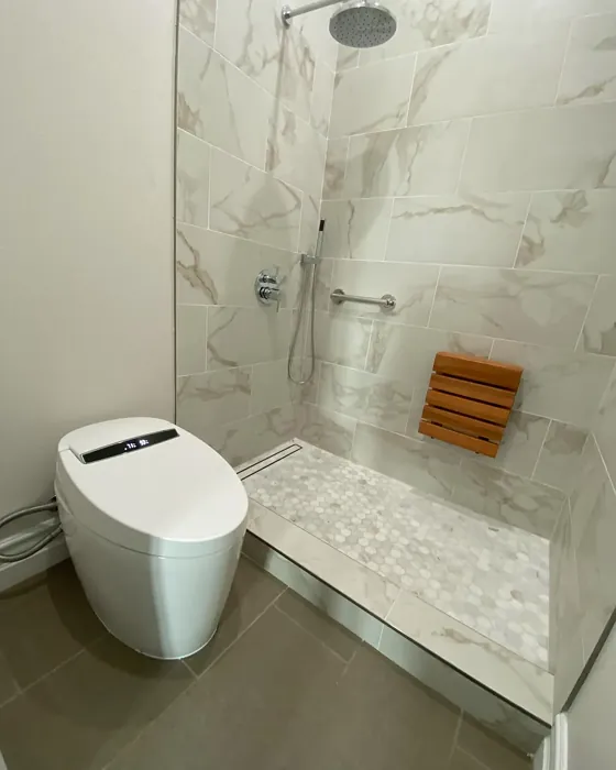 SW Toque White bathroom color