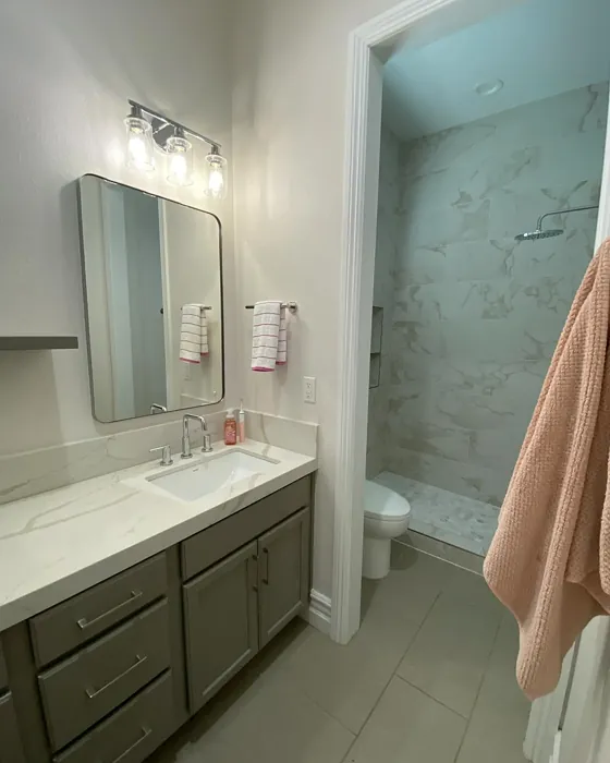 SW 7003 bathroom paint review