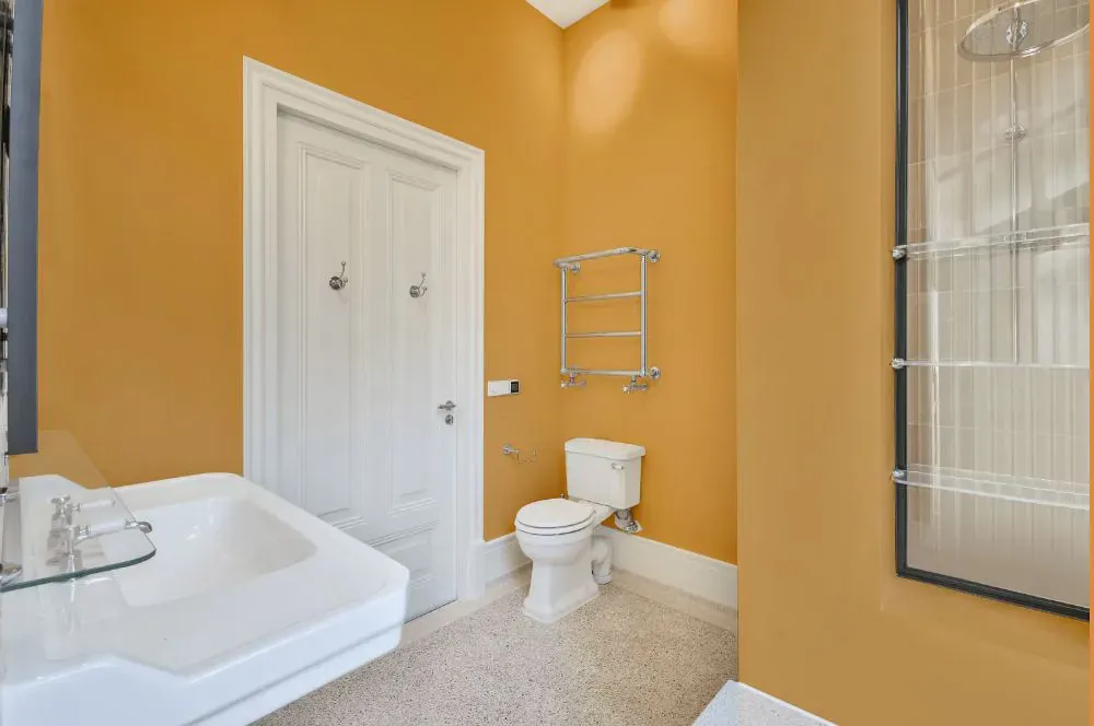 Sherwin Williams Torchlight bathroom