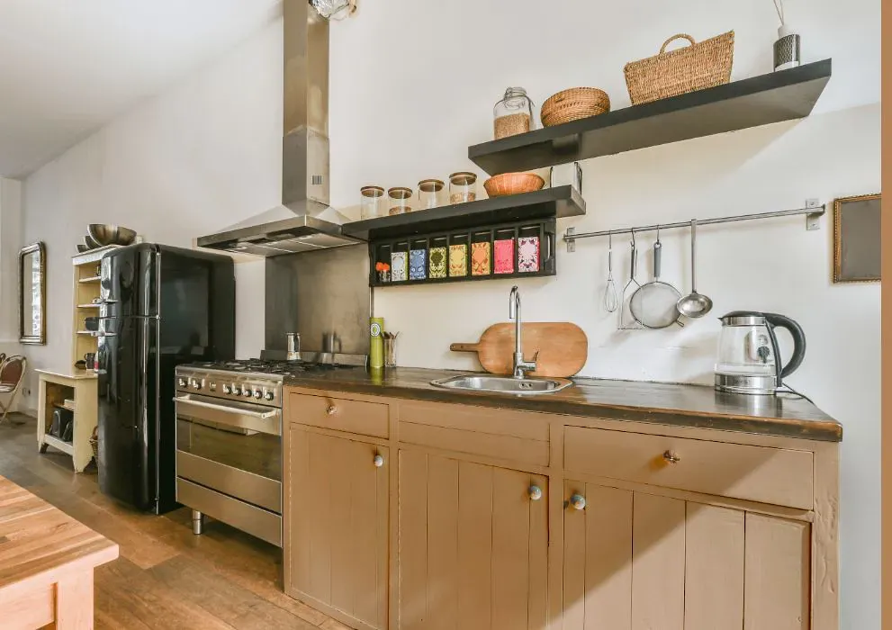 Sherwin Williams Totally Tan kitchen cabinets