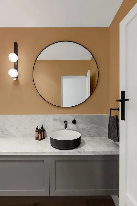 Sherwin Williams Totally Tan minimalist bathroom
