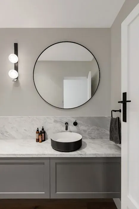 Sherwin Williams Touch of Grey minimalist bathroom