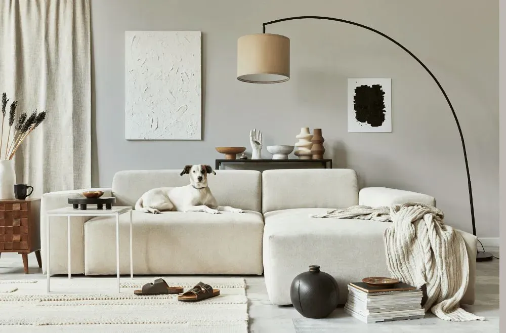Sherwin Williams Touch of Grey cozy living room