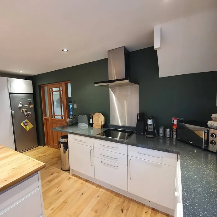 Dulux Trafalgar Grey kitchen color