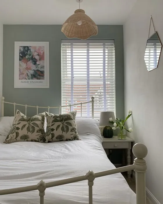 Tranquil Dawn bedroom color