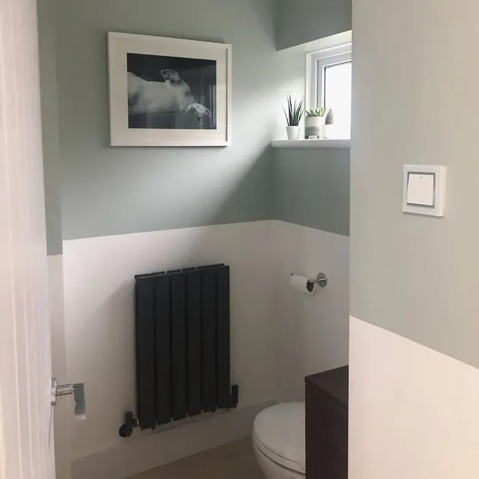 Dulux Tranquil Dawn bathroom paint review