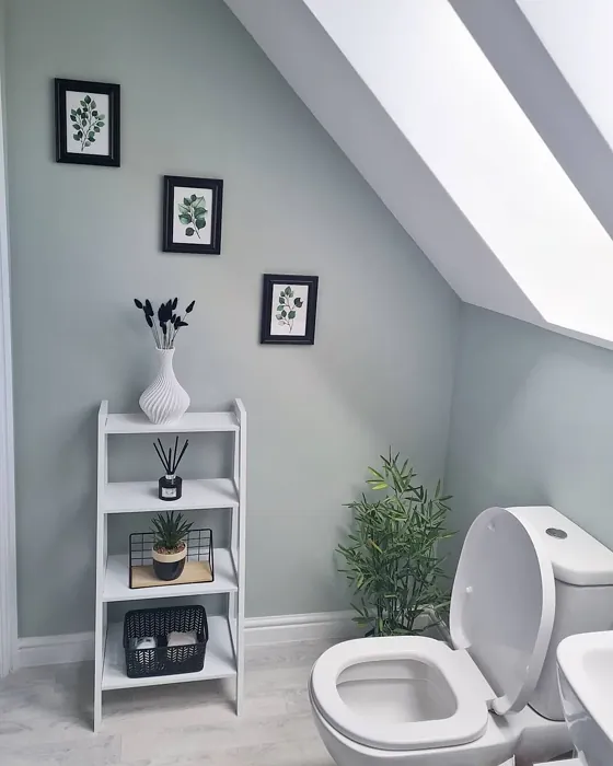Dulux 45GY 55/052 bathroom paint review