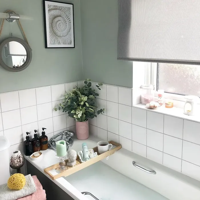 Tranquil Dawn bathroom paint review