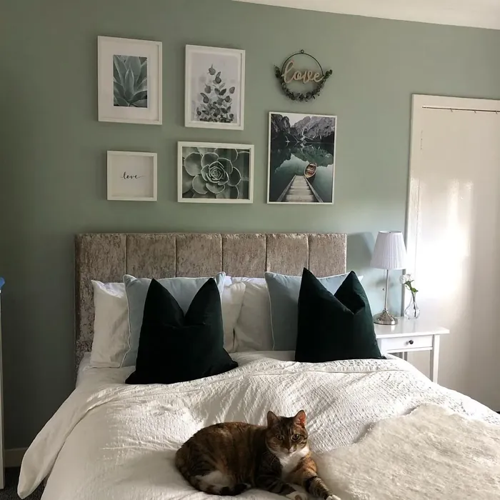 Tranquil Dawn bedroom makeover