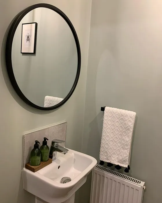 Dulux Tranquil Dawn bathroom inspiration