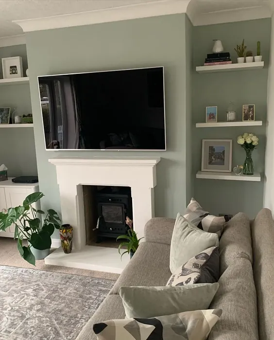 Dulux Tranquil Dawn living room fireplace photo