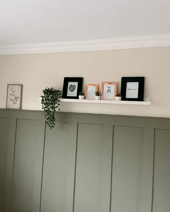 Farrow and Ball 292 living room review