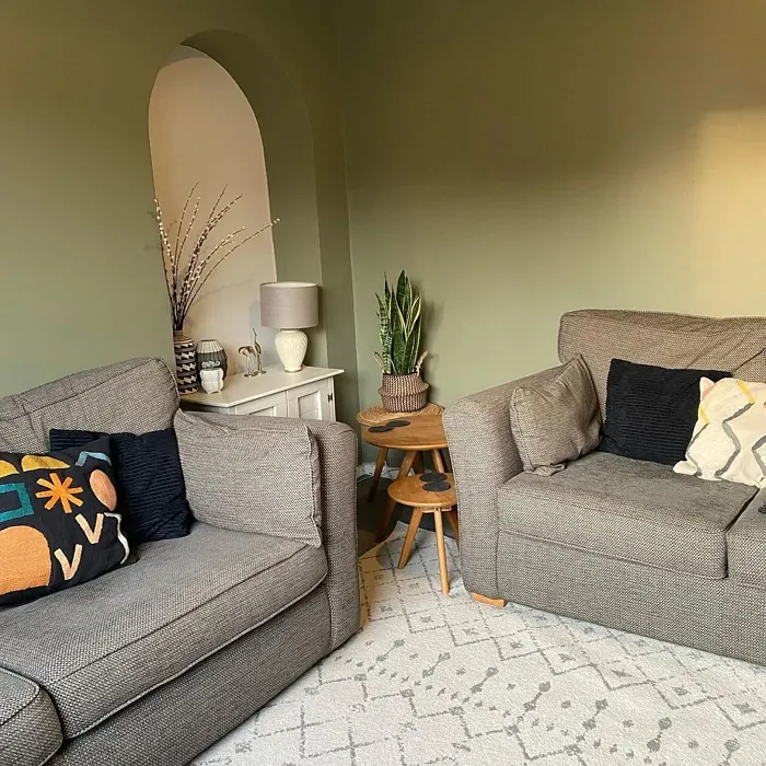 Treron living room paint review