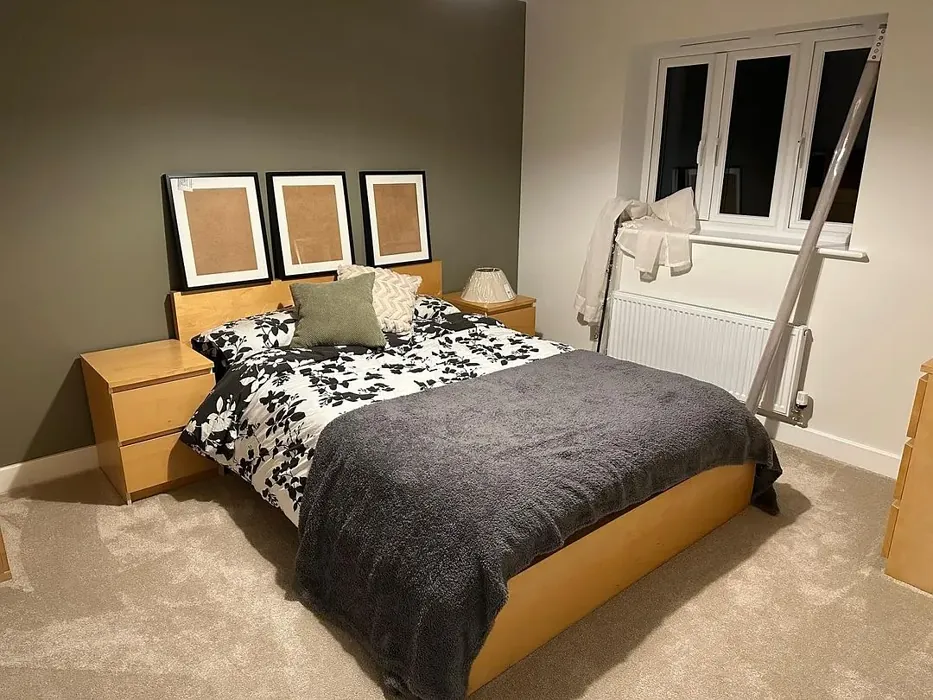 Treron bedroom review