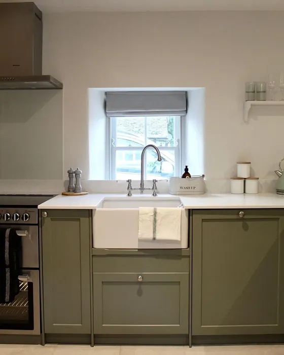 Farrow and Ball 292 kitchen cabinets photo