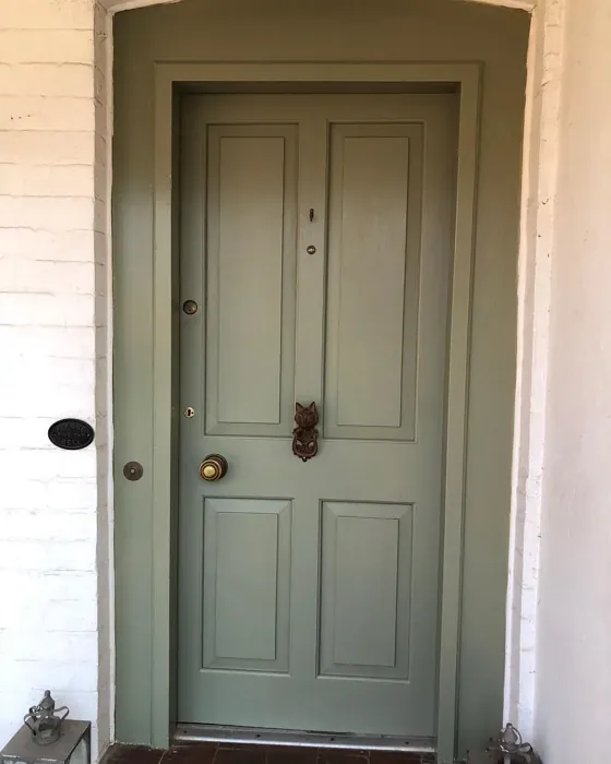 Treron front door paint